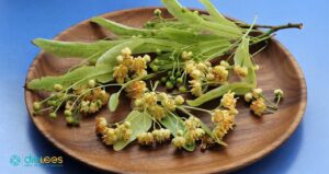 Lindenblüte im Tee – Zarte Blütennote mit sanftem Aroma