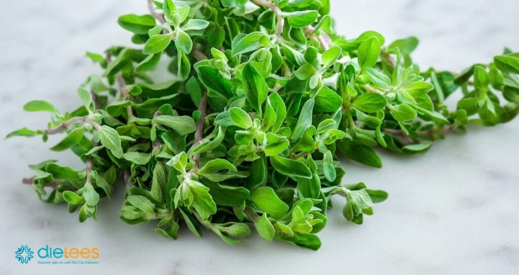 Majoran im Tee – Mediterrane Würze mit aromatischer Tiefe