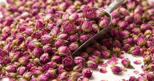 Rosenblüten Tee – Duft, Geschmack & vielseitige Verwendung