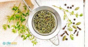 Thymian Tee – Würziges Kräuteraroma mit mediterranem Charakter