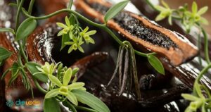 Vanille im Tee – Warme Süße & aromatische Eleganz