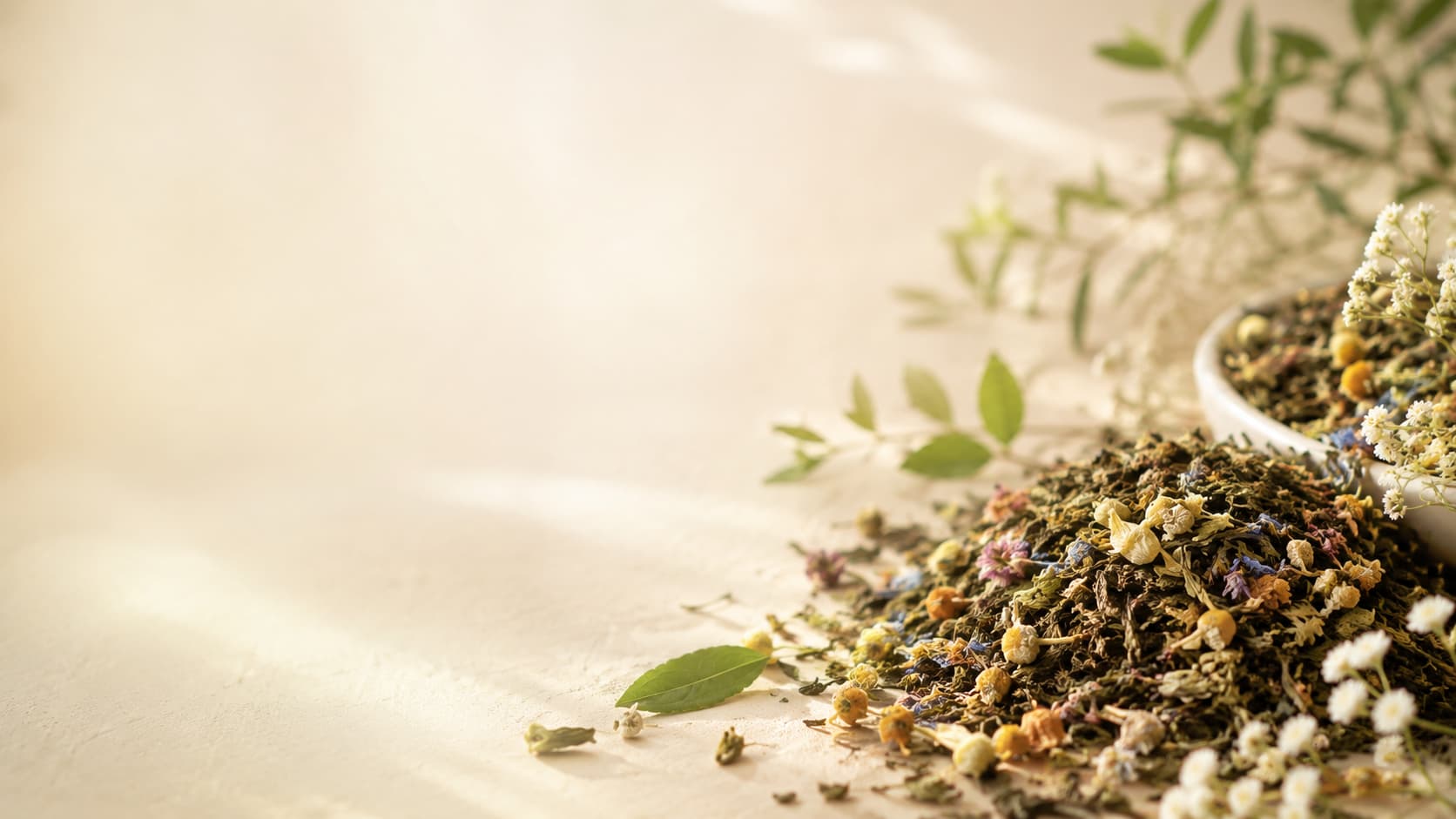 Thé bio en vrac avec feuilles de thé naturelles